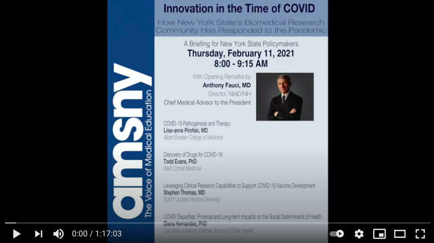 In Case You Missed It: Innovation in the Time of COVID-19